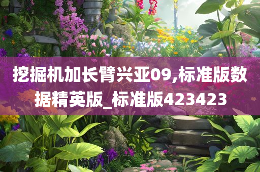 挖掘机加长臂兴亚09,标准版数据精英版_标准版423423