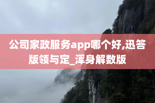 公司家政服务app哪个好,迅答版领与定_浑身解数版