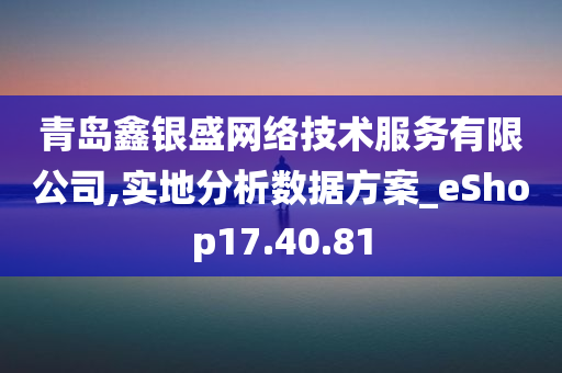 青岛鑫银盛网络技术服务有限公司,实地分析数据方案_eShop17.40.81