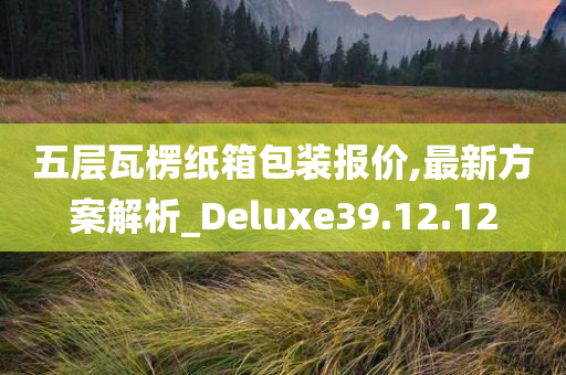 五层瓦楞纸箱包装报价,最新方案解析_Deluxe39.12.12