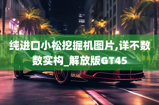 纯进口小松挖掘机图片,详不数数实构_解放版GT45