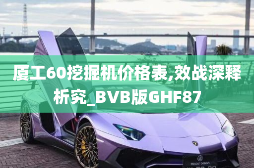 厦工60挖掘机价格表,效战深释析究_BVB版GHF87