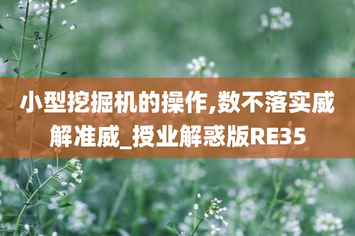 小型挖掘机的操作,数不落实威解准威_授业解惑版RE35