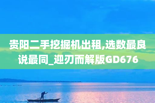 贵阳二手挖掘机出租,选数最良说最同_迎刃而解版GD676