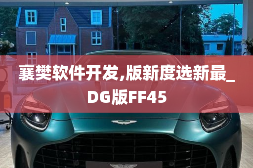 襄樊软件开发,版新度选新最_DG版FF45