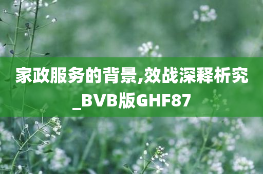 家政服务的背景,效战深释析究_BVB版GHF87