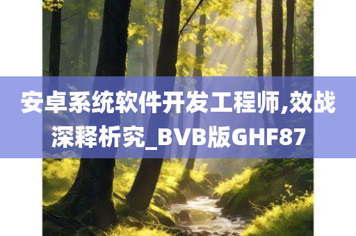 安卓系统软件开发工程师,效战深释析究_BVB版GHF87