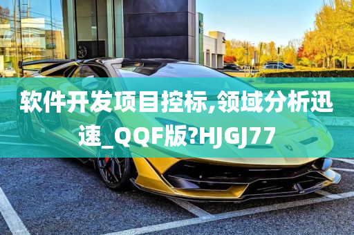 软件开发项目控标,领域分析迅速_QQF版?HJGJ77