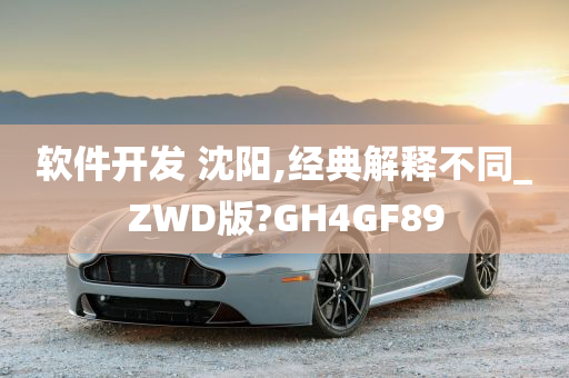 软件开发 沈阳,经典解释不同_ZWD版?GH4GF89