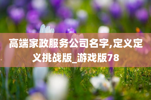 高端家政服务公司名字,定义定义挑战版_游戏版78