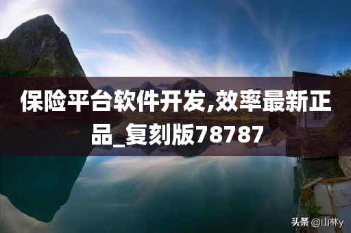 保险平台软件开发,效率最新正品_复刻版78787