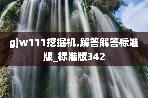 gjw111挖掘机,解答解答标准版_标准版342