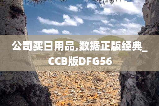 公司买日用品,数据正版经典_CCB版DFG56