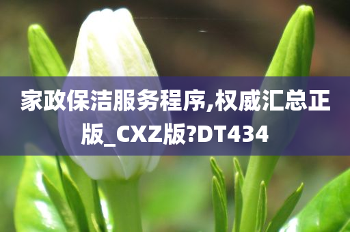 家政保洁服务程序,权威汇总正版_CXZ版?DT434