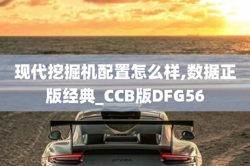 现代挖掘机配置怎么样,数据正版经典_CCB版DFG56