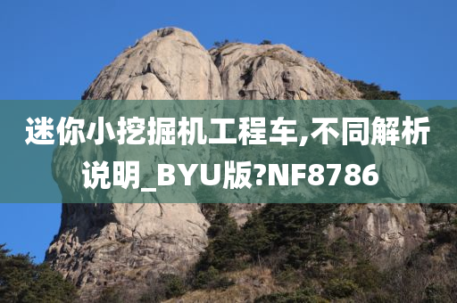 迷你小挖掘机工程车,不同解析说明_BYU版?NF8786