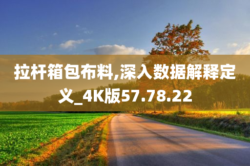 拉杆箱包布料,深入数据解释定义_4K版57.78.22