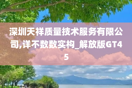 深圳天祥质量技术服务有限公司,详不数数实构_解放版GT45