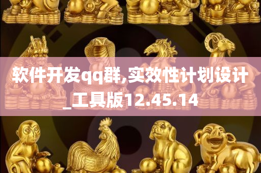 软件开发qq群,实效性计划设计_工具版12.45.14