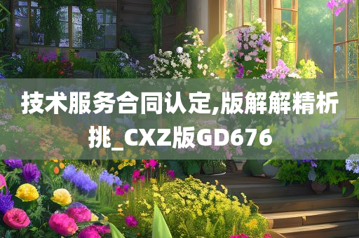 技术服务合同认定,版解解精析挑_CXZ版GD676