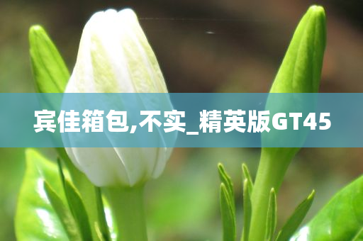 宾佳箱包,不实_精英版GT45