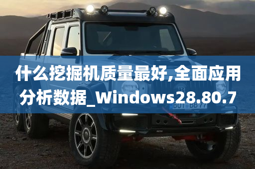 什么挖掘机质量最好,全面应用分析数据_Windows28.80.70