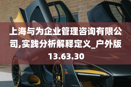 上海与为企业管理咨询有限公司,实践分析解释定义_户外版13.63.30