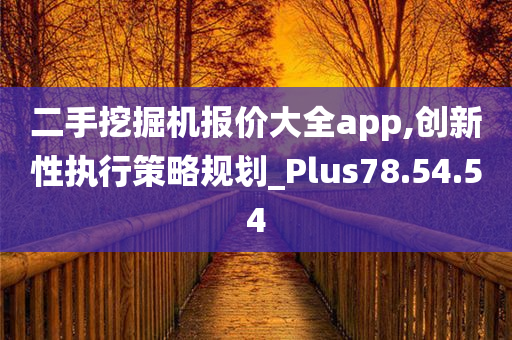 二手挖掘机报价大全app,创新性执行策略规划_Plus78.54.54