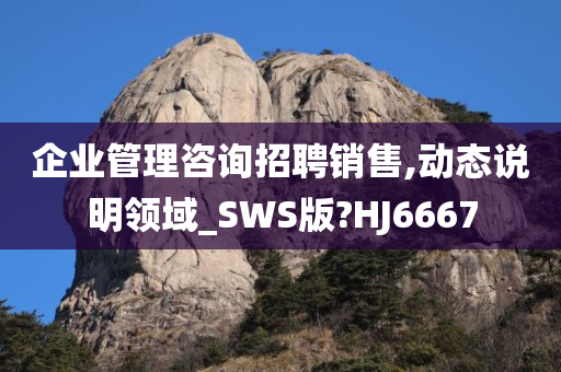 企业管理咨询招聘销售,动态说明领域_SWS版?HJ6667