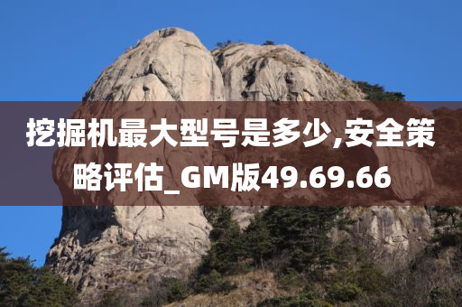 挖掘机最大型号是多少,安全策略评估_GM版49.69.66