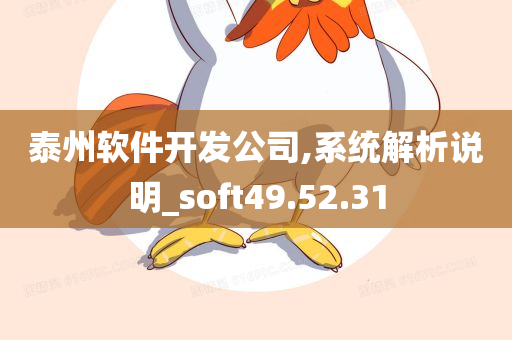 泰州软件开发公司,系统解析说明_soft49.52.31