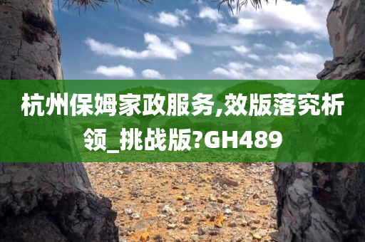 杭州保姆家政服务,效版落究析领_挑战版?GH489