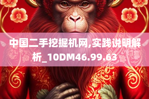 中国二手挖掘机网,实践说明解析_10DM46.99.63