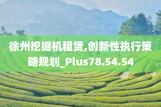 徐州挖掘机租赁,创新性执行策略规划_Plus78.54.54