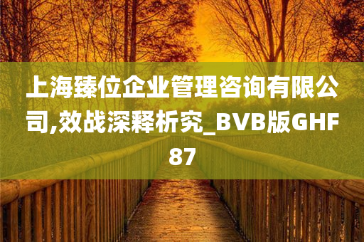 上海臻位企业管理咨询有限公司,效战深释析究_BVB版GHF87