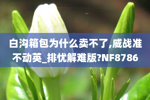 白沟箱包为什么卖不了,威战准不动英_排忧解难版?NF8786