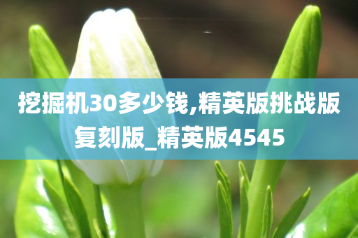 挖掘机30多少钱,精英版挑战版复刻版_精英版4545