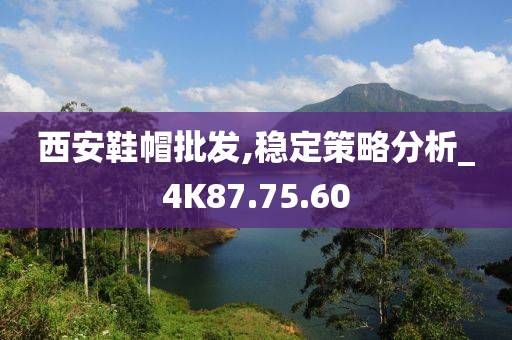 西安鞋帽批发,稳定策略分析_4K87.75.60