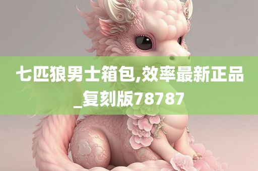 七匹狼男士箱包,效率最新正品_复刻版78787