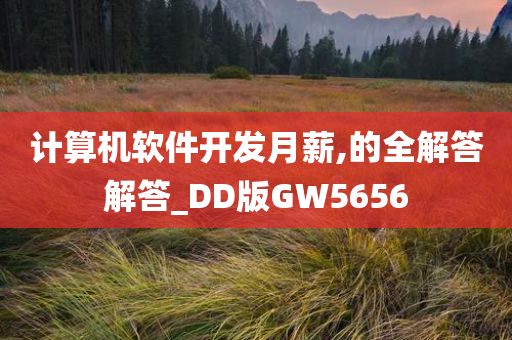 计算机软件开发月薪,的全解答解答_DD版GW5656