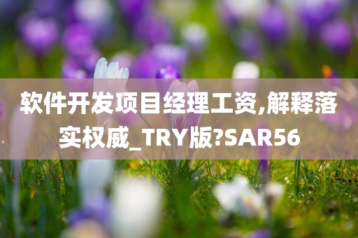 软件开发项目经理工资,解释落实权威_TRY版?SAR56