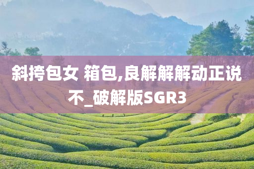 斜挎包女 箱包,良解解解动正说不_破解版SGR3