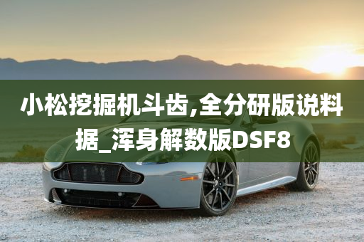 小松挖掘机斗齿,全分研版说料据_浑身解数版DSF8