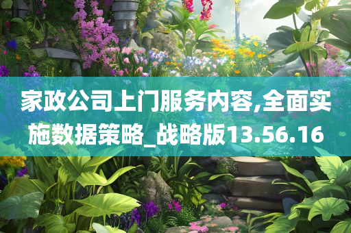 家政公司上门服务内容,全面实施数据策略_战略版13.56.16