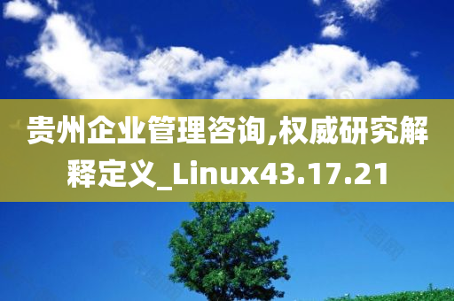 贵州企业管理咨询,权威研究解释定义_Linux43.17.21