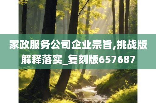 家政服务公司企业宗旨,挑战版解释落实_复刻版657687