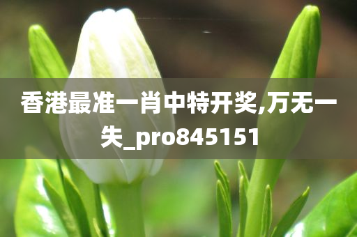 香港最准一肖中特开奖,万无一失_pro845151