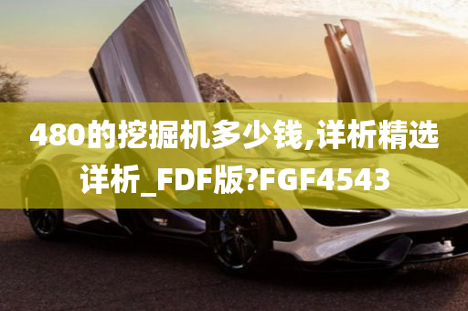 480的挖掘机多少钱,详析精选详析_FDF版?FGF4543