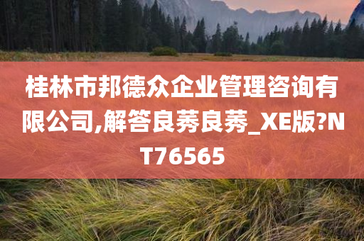 桂林市邦德众企业管理咨询有限公司,解答良莠良莠_XE版?NT76565