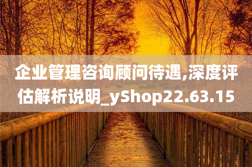 企业管理咨询顾问待遇,深度评估解析说明_yShop22.63.15